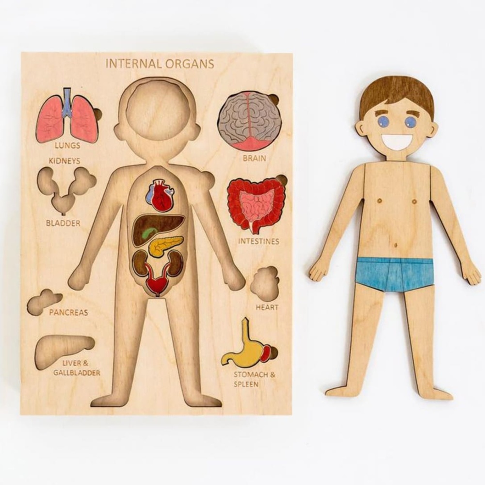 Beschilderbare houten puzzel van het menselijk lichaam voor kinderen