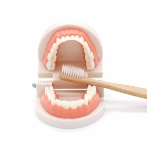 Tandenborstelspeeltje met open mond en houten tandenborstel